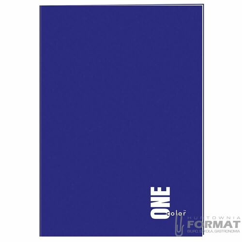 ZESZYT A4/96 kratka ONE COLOR 3