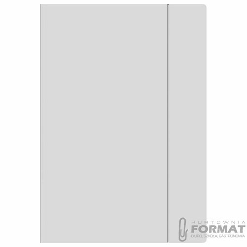 Teczka kartonowa na gumkę pastel HOLOGRAM A4+ mix Interdruk 2