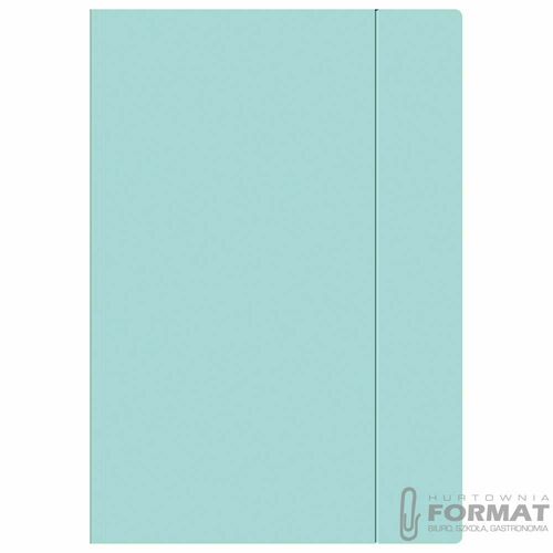 Teczka kartonowa na gumkę pastel HOLOGRAM A4+ mix Interdruk 3
