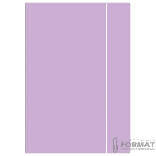 Teczka kartonowa na gumkę pastel HOLOGRAM A4+ mix Interdruk 4