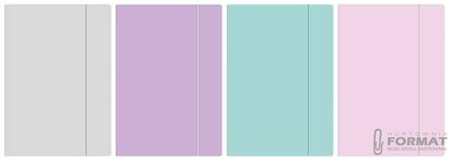 Teczka kartonowa na gumkę pastel HOLOGRAM A4+ mix Interdruk 5