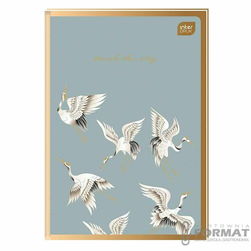 BRULION A6 96# 70G MET SATIN GOLD 2