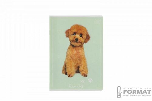 ZESZYT A5 16 KOL.3= uv PUPPY SI 2