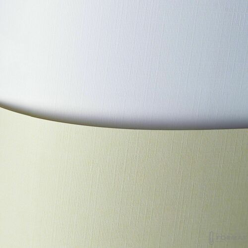 PAPIER WIZYTÓWKOWY HOLLAND BIAŁY 100G A50 206301 2