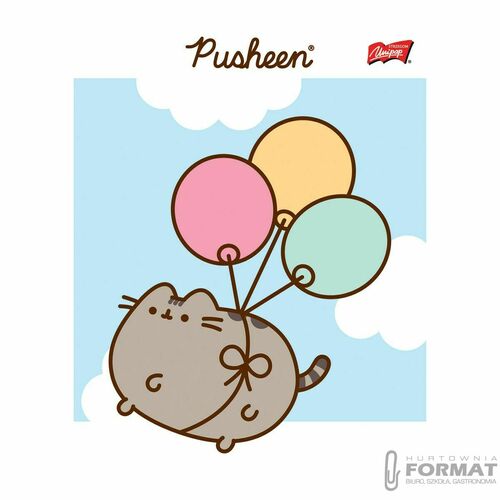 Zeszyt A5 32k krata laminowany PUSHEEN 4