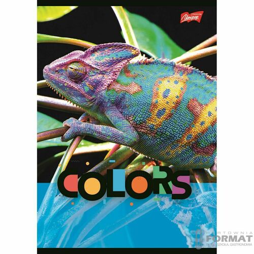Zeszyt Unipap Exotic colors A5 32k. linia 2