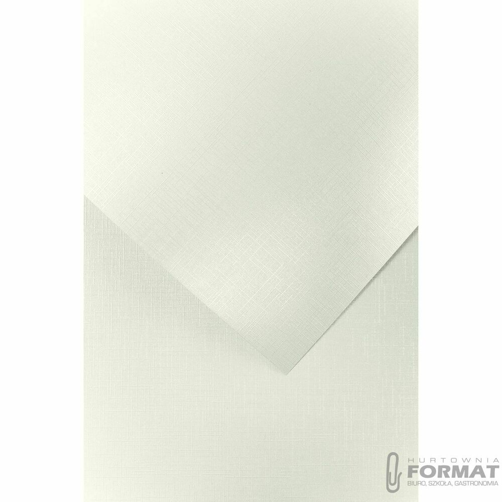 Papier ozdobny (wizytówkowy) Galeria Papieru holland diamentowa biel A4 biały 230g (200501) 1