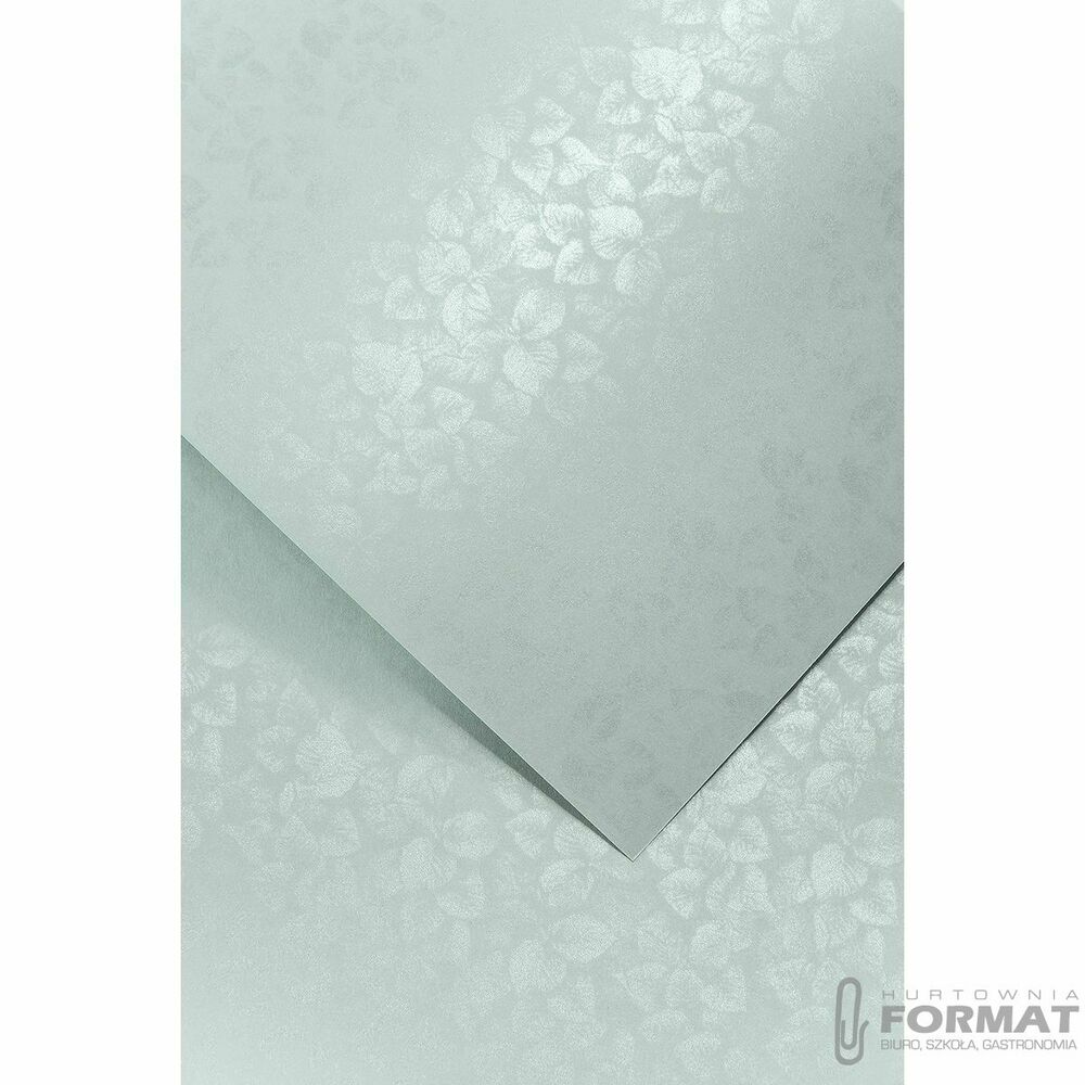 Papier ozdobny (wizytówkowy) Galeria Papieru Liście A4 szary 250g (203608) 1