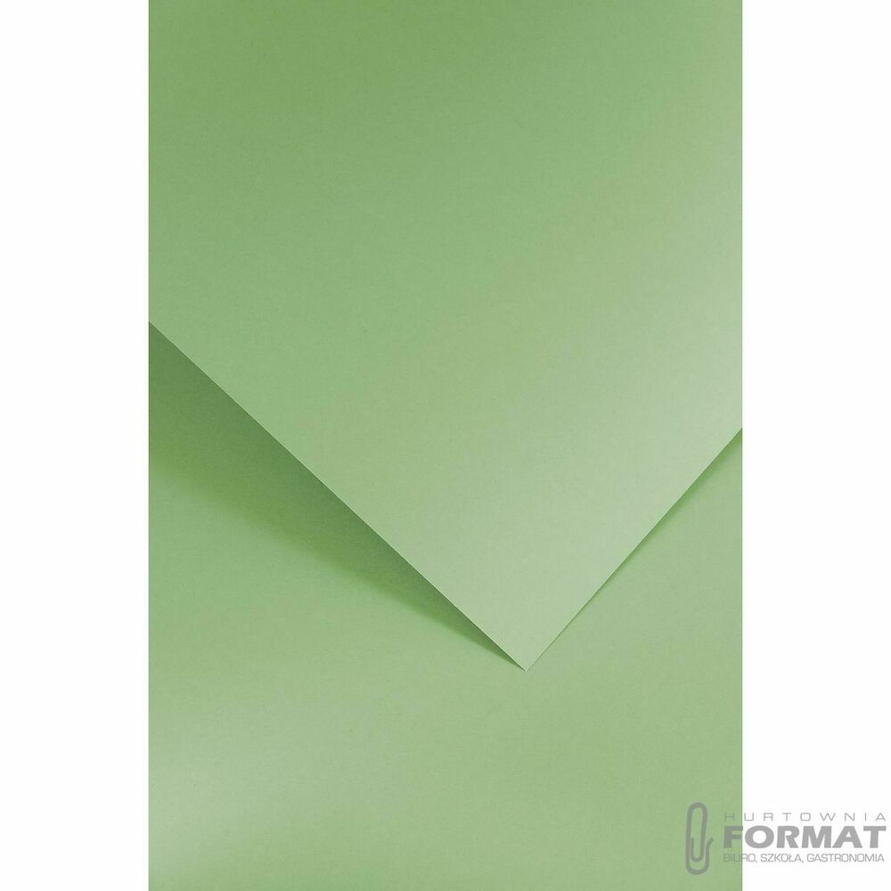 Papier ozdobny (wizytówkowy) Galeria Papieru gładki A4 zielony jasny 210g (205506) 1