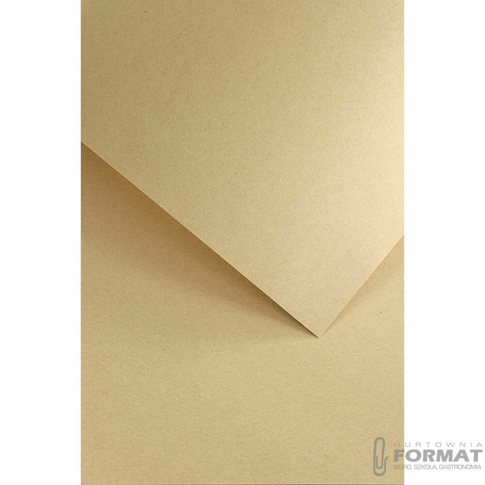 Papier ozdobny (wizytówkowy) Galeria Papieru nature A4 beżowy 120g (206717) 1