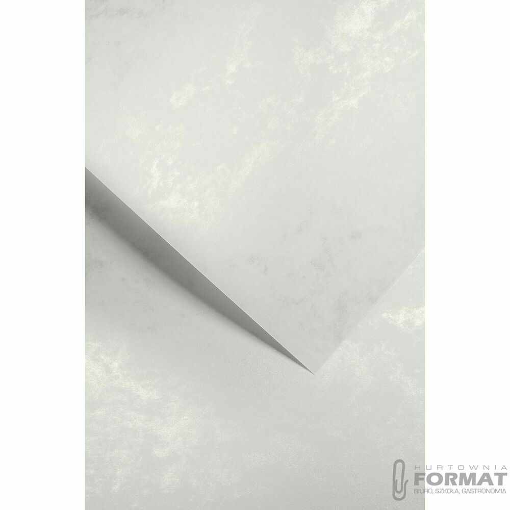 Papier ozdobny (wizytówkowy) Galeria Papieru marmur srebrny A4 Srebrny 230g (205307) 1