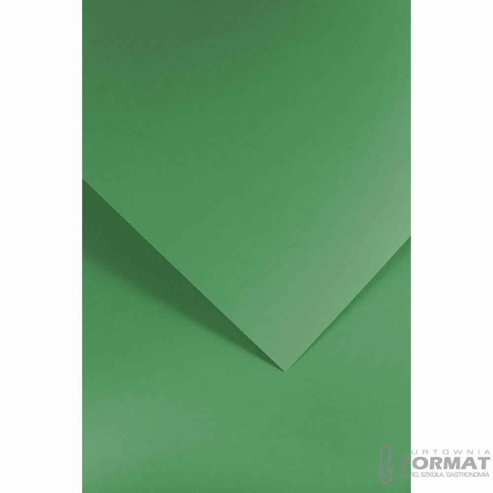 Papier ozdobny (wizytówkowy) Galeria Papieru gładki zielony A4 zielony 210g (205512) 1