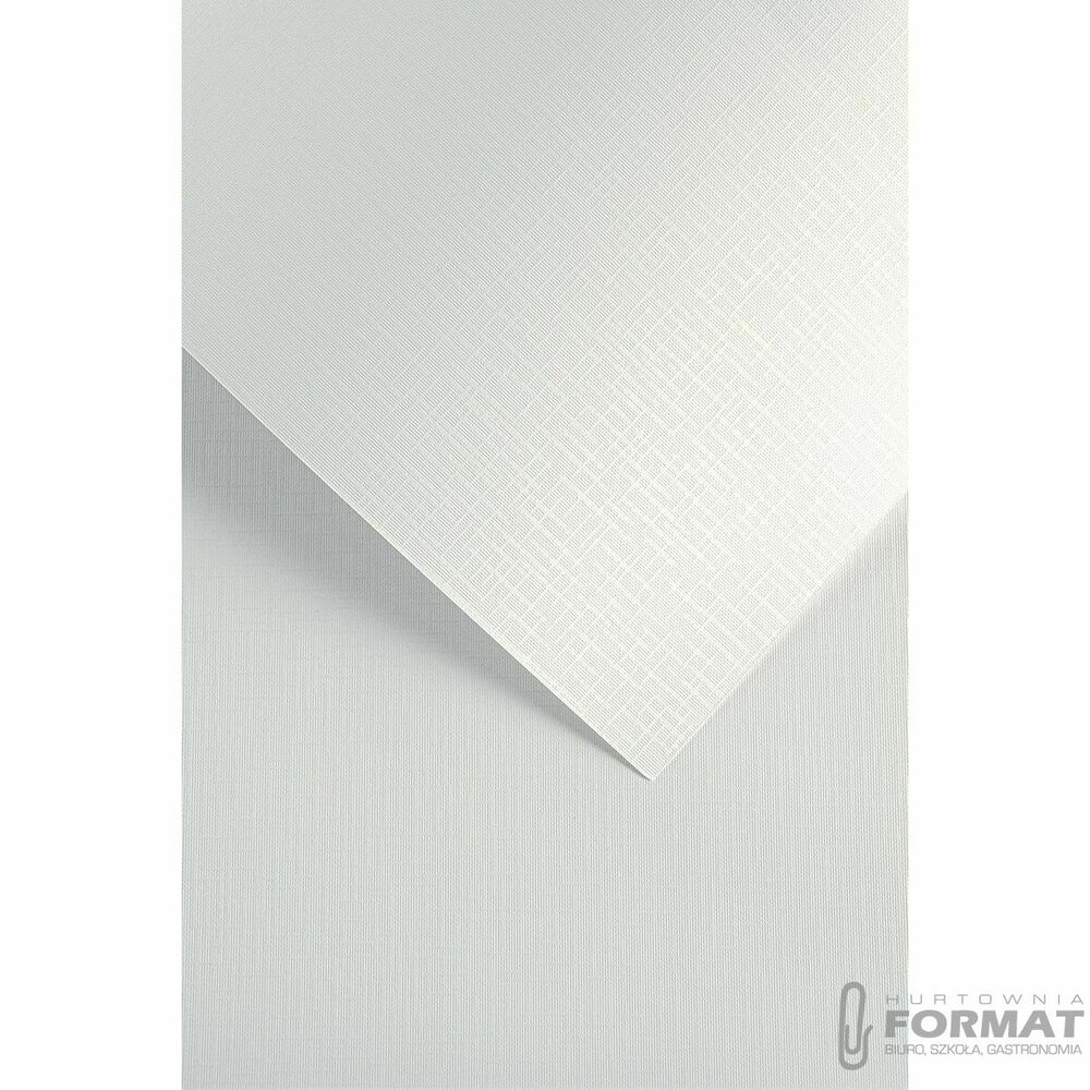 Papier ozdobny (wizytówkowy) Galeria Papieru holland biały A4 biały 200g (200503) 1