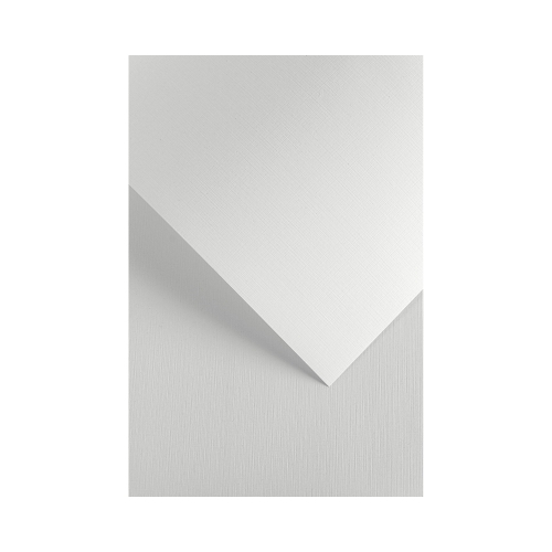 Papier ozdobny (wizytówkowy) Galeria Papieru płótno białe A4 biały 240g (202121) 1