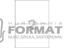 ETYKIETA SAMOPRZYLEPNA MIX A100 210/148 1