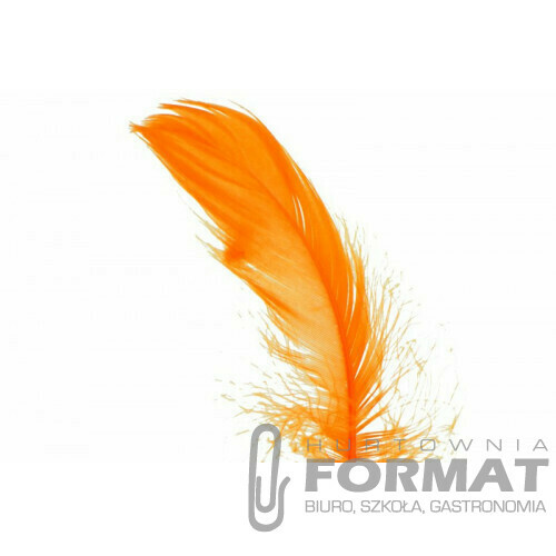 Piórka pomarańczowe 15 g 1