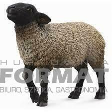 OWCA SUFFOLK ROZMIAR M 88636 1