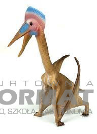 DINOZAUR HATZEGOPTERYX X-182 ROZMIAR L 88441 1
