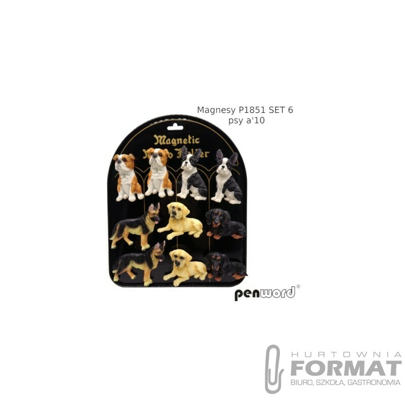 MAGNESY P1851 SET 6 PSY a'10 1