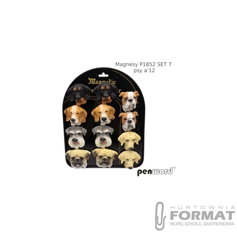 MAGNESY P1852 SET 7 PSY a'12 1