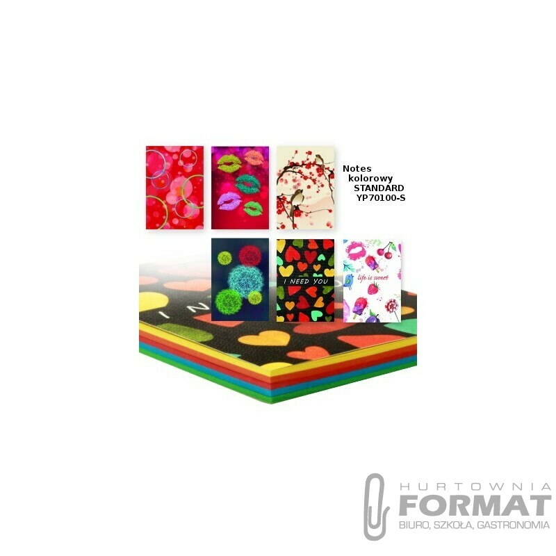 NOTES KOLOROWY YP70100-S STANDARD 1