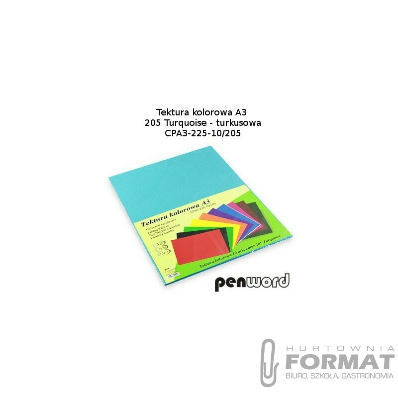 BRYSTOL/TEKTURA KOL. A3 205 TURQUOISE/TURKUSOWA a'10 CPA3-225-10 1