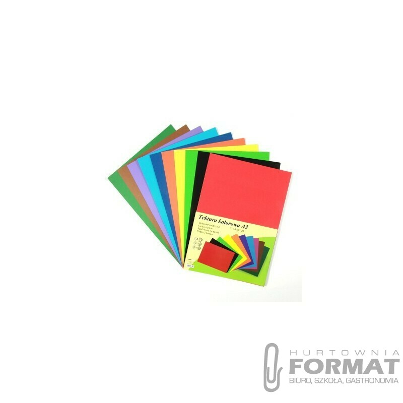 BRYSTOL/TEKTURA KOLOROWA MIX KOL. A3 CPA3-225-20 1