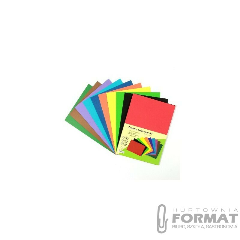 BRYSTOL/TEKTURA KOLOROWA MIX KOL. A4 CPA4-225-20 1