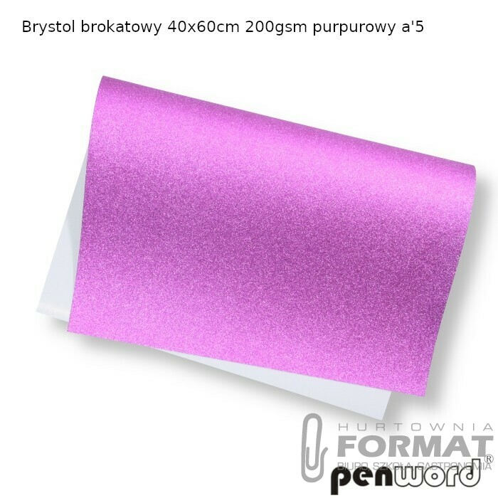 BRYSTOL BROKATOWY 40x60cm 200gsm PURPUROWY a'5 1