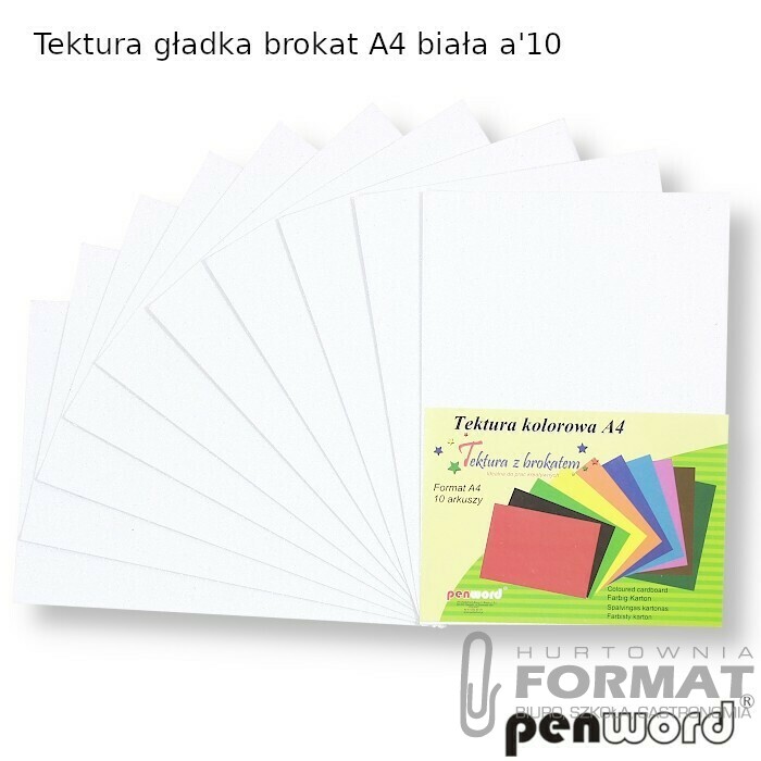 TEKTURA GŁADKA BROKAT A4 BIAŁA a'10 1
