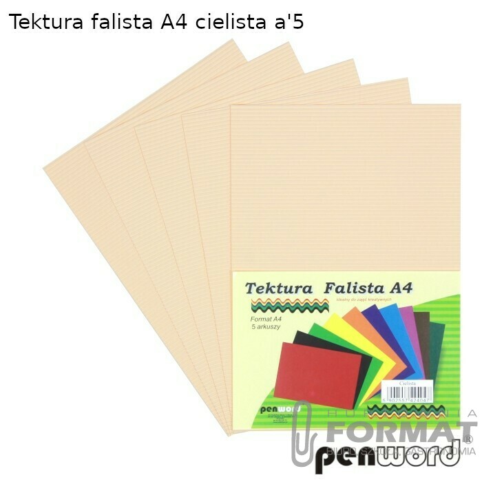 TEKTURA FALISTA A4 CIELISTA a'5 1
