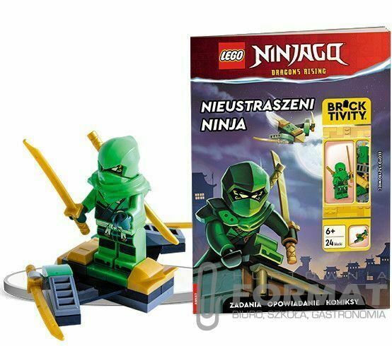 Książeczka edukacyjna Ameet LEGO® NINJAGO®. Nieustraszeni NINJA LNC 6728 P1 1