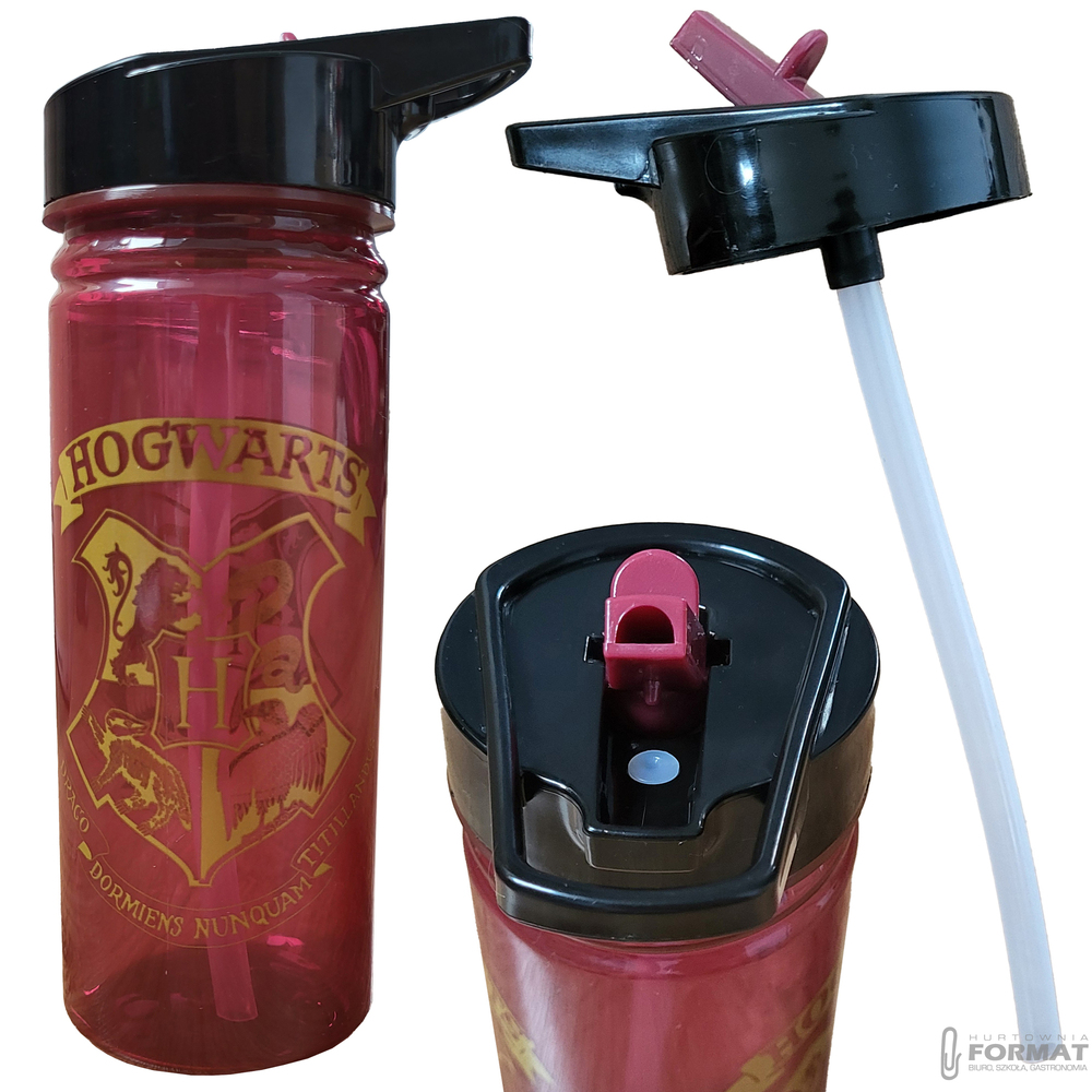 BIDON HARRY POTTER PP 600 ml HERBY HOGWARTU HP91553 1