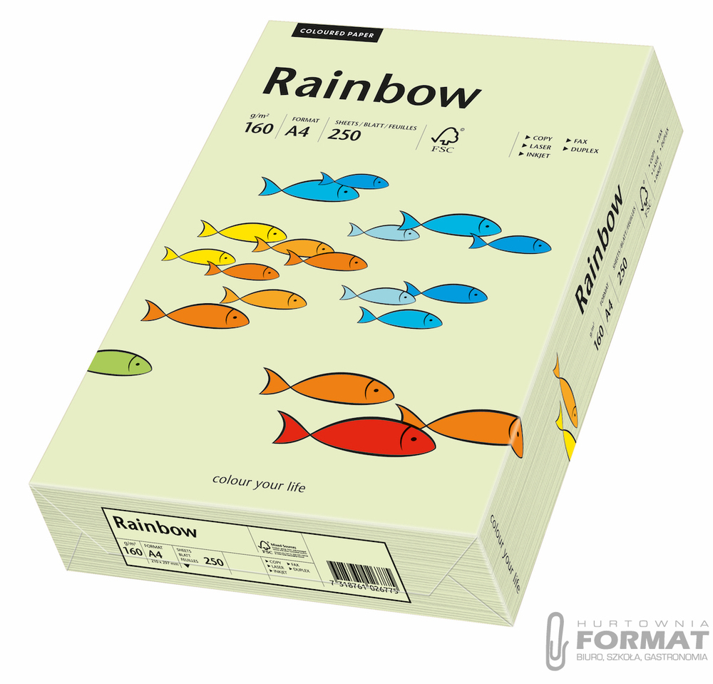 PAPIER KSERO A4  KOLOR RAINBOW A250 NR72 160G BL.Z 1