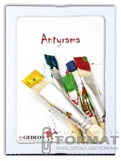 ANTYRAMA 21/29,7 A4 PLEXI 1
