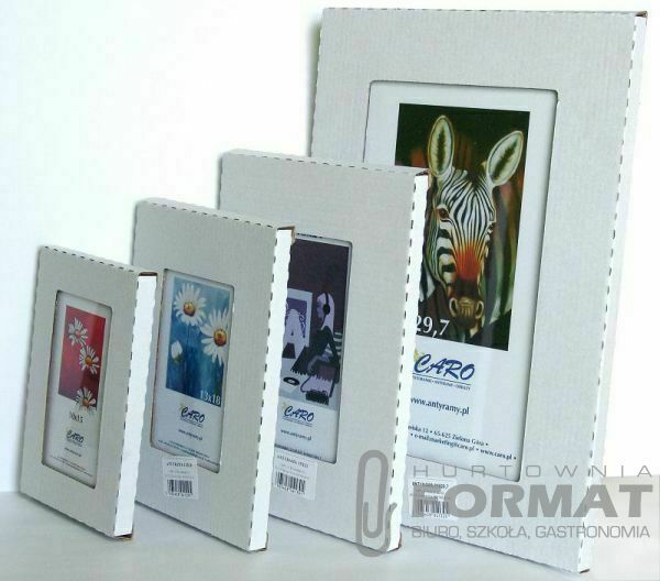 ANTYRAMA 40/60 PLEXI 1