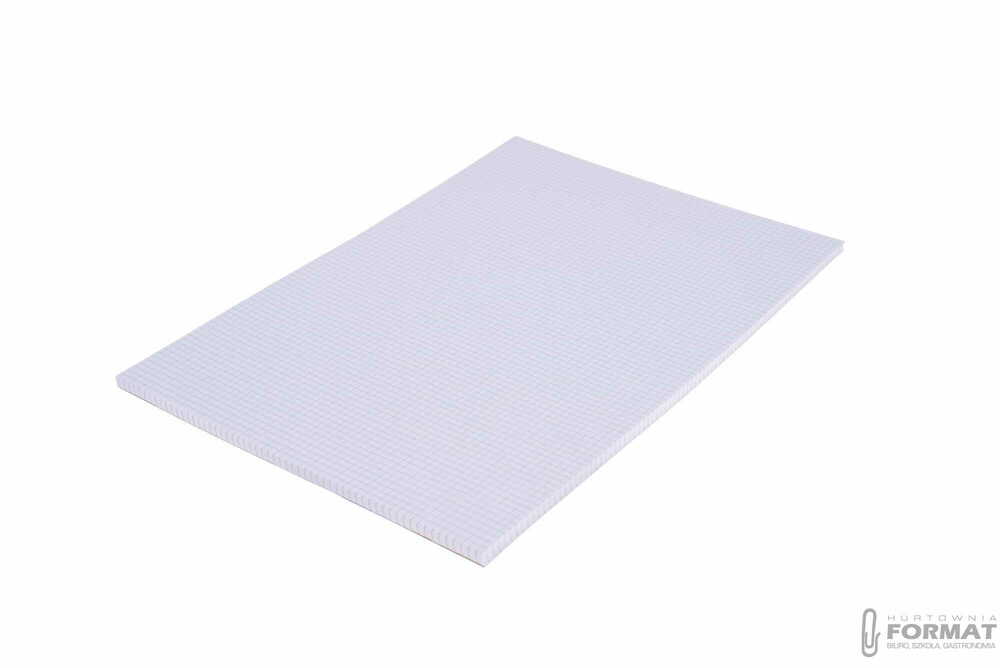Kreska Papier w kratkę A3 100 arkuszy 1