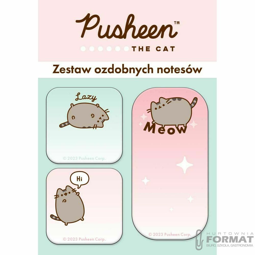 Zestaw 3 notesów ozdobnych Pusheen 1