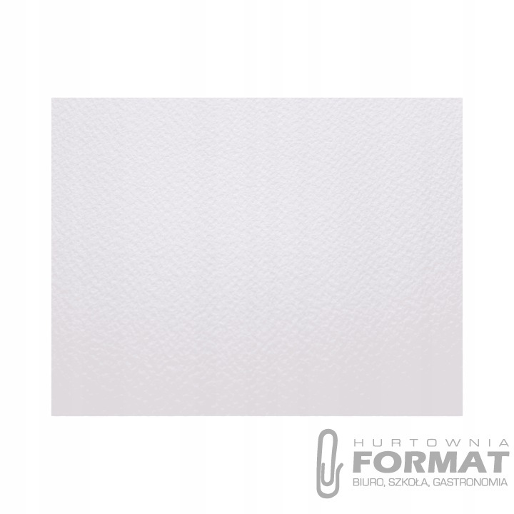 PAPIER WIZYTÓWKOWY SAWANNA BIAŁY A20 200G 204801 1
