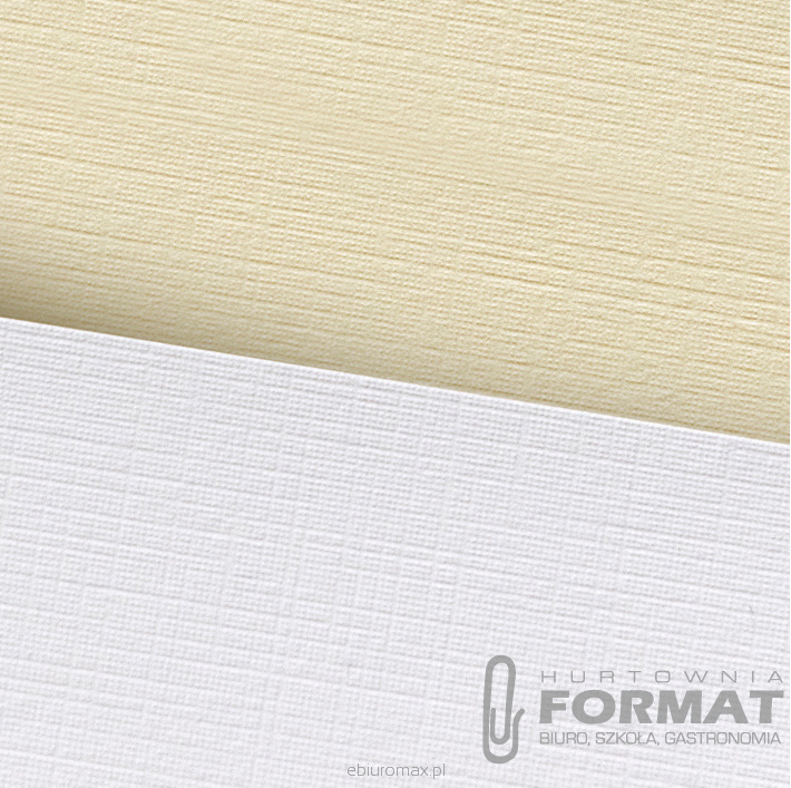 PAPIER WIZYTÓWKOWY HOLLAND BIAŁY 100G A50 206301 1