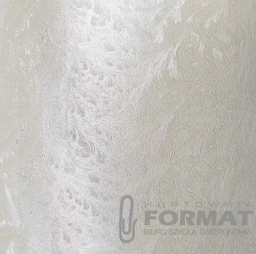Karton papier ozdobny Frost perłowa biel A4 20 ark 1