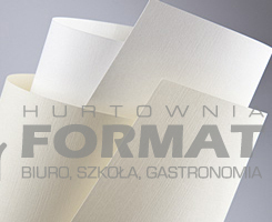 PAPIER WIZYTÓWKOWY A50 PŁÓTNO BIAŁY 120G 206101 1