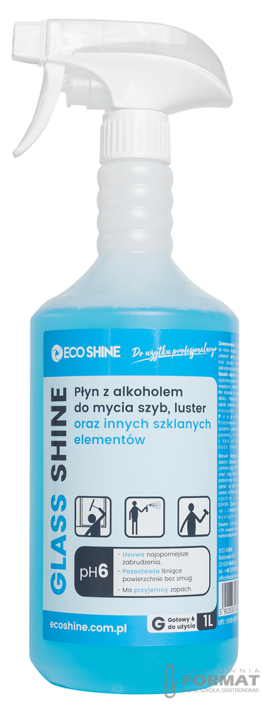 ECOSHINE GLASS SHINE 1L SPRAY 1