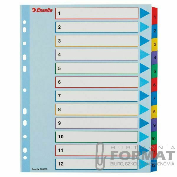 PRZEKŁADKI ESSELTE 1-12 A4 100209 1