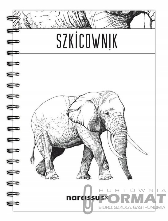 Szkicownik B5 na spirali gładki Słoń 60k 1