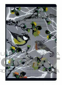 Zeszyt PP Fun II A5 60k linia 80gsm 1