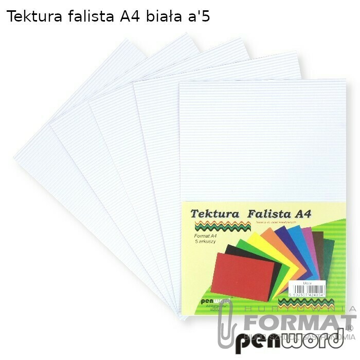 TEKTURA FALISTA A4 BIAŁA a'5 1
