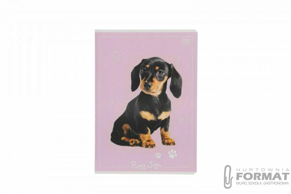 ZESZYT A5 16 KOL.3= uv PUPPY SI 1