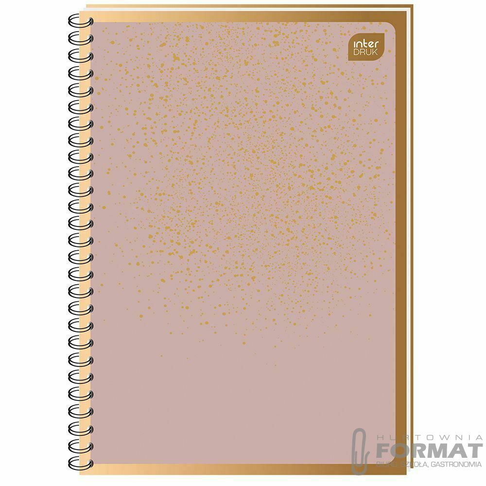 KOŁOZESZYT A6 80# 70G METALLIC GOLD 1