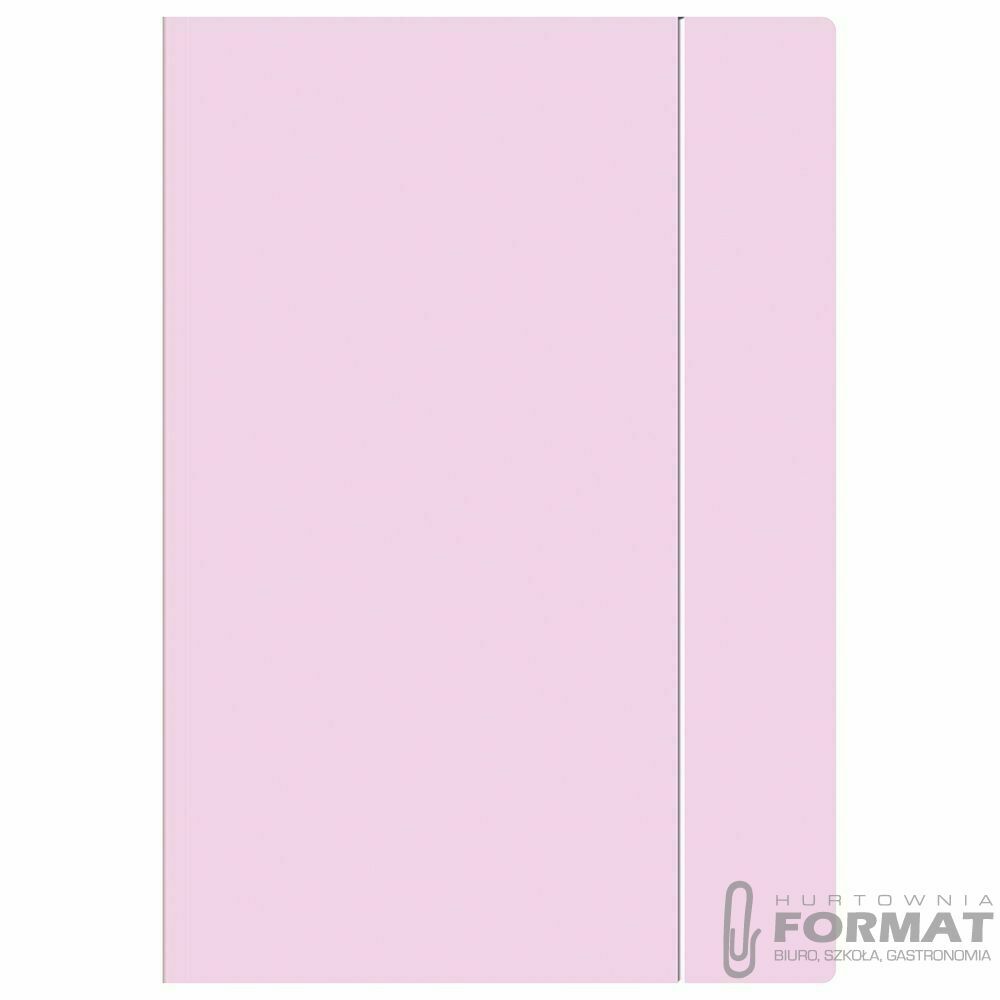 Teczka kartonowa na gumkę pastel HOLOGRAM A4+ mix Interdruk 1